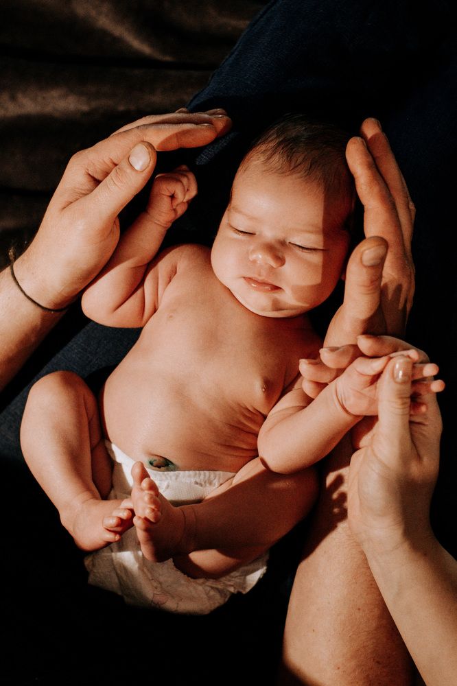 Photograph by Мокану Анастасия