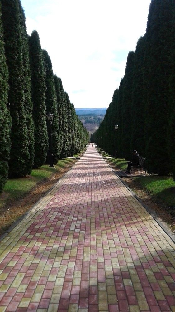 Photograph by Ирина Орлова