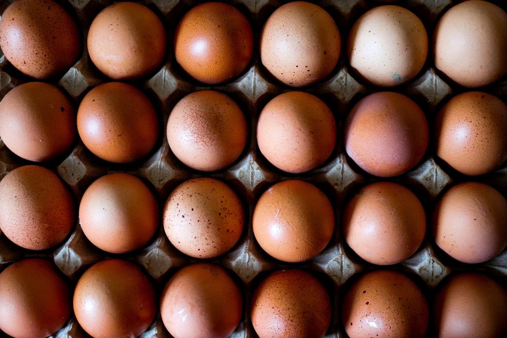 Photograph by Наталья Клячина