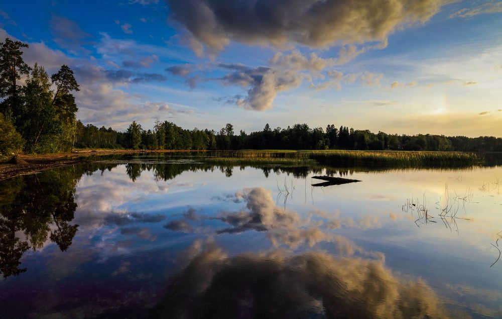 Photograph by Михаил Бояркин