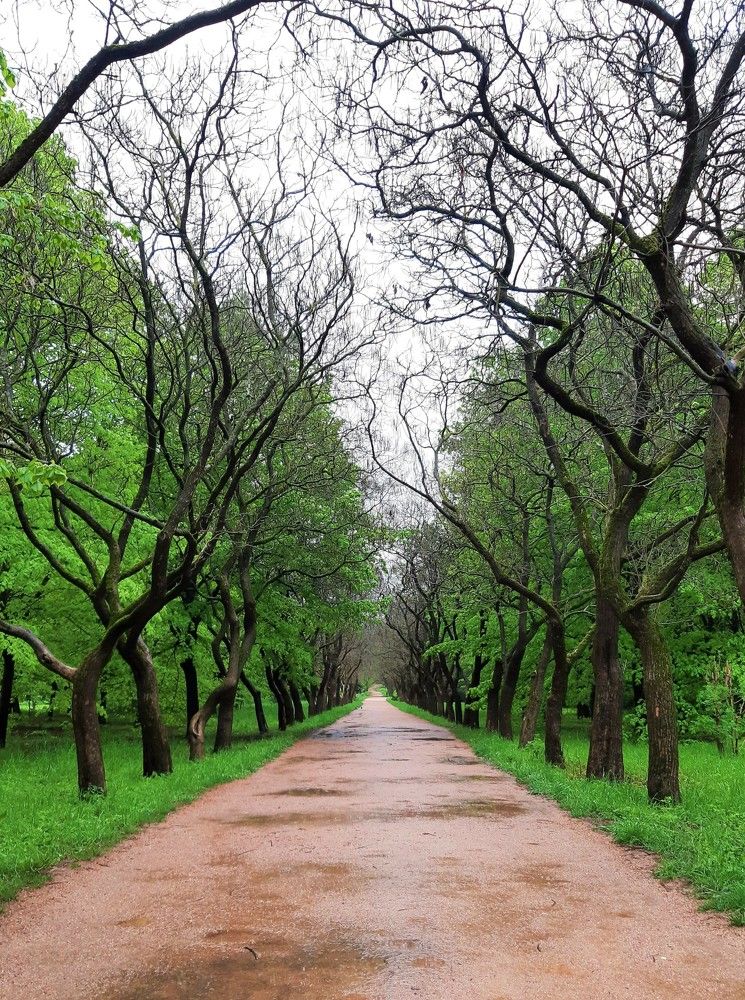 Photograph by Галина Глазкова