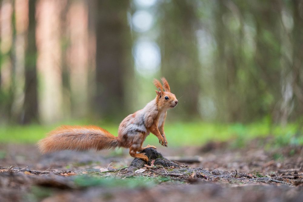 Photograph by Анастасия Жучкова