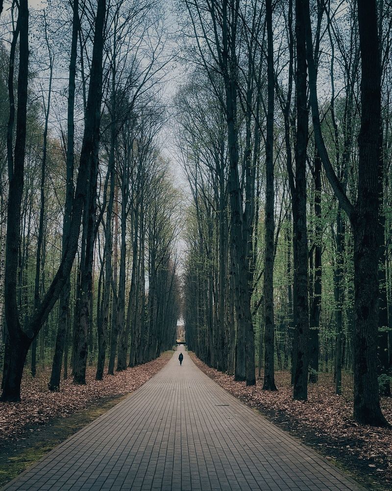 Photograph by Петр Смыковский