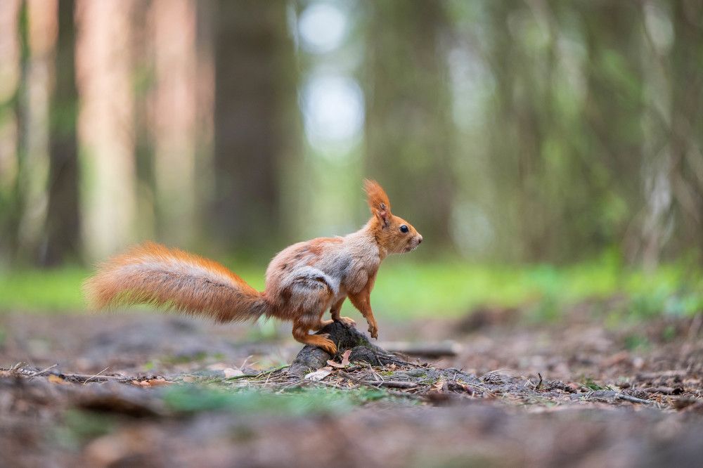 Photograph by Анастасия Жучкова