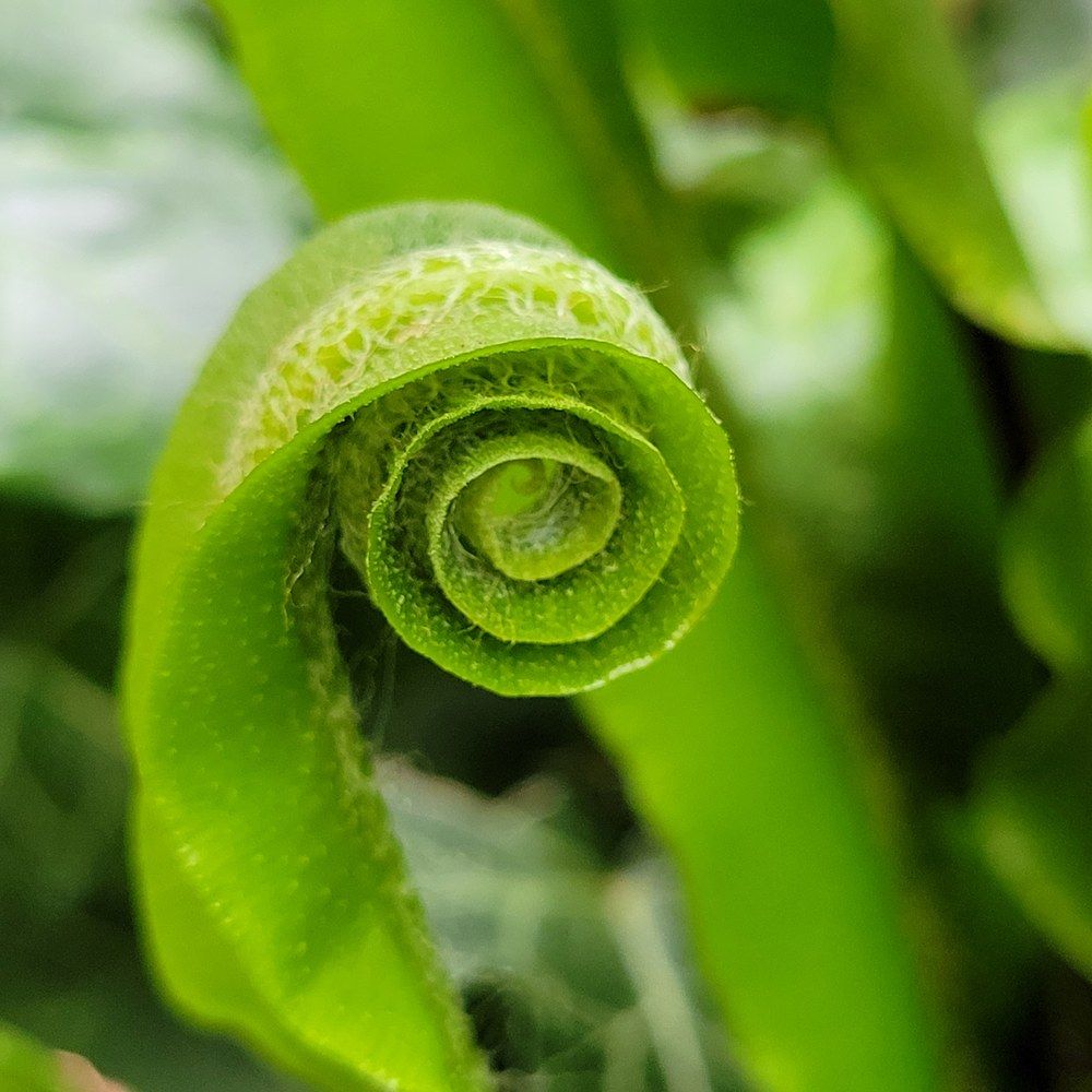 Photograph by Catherine