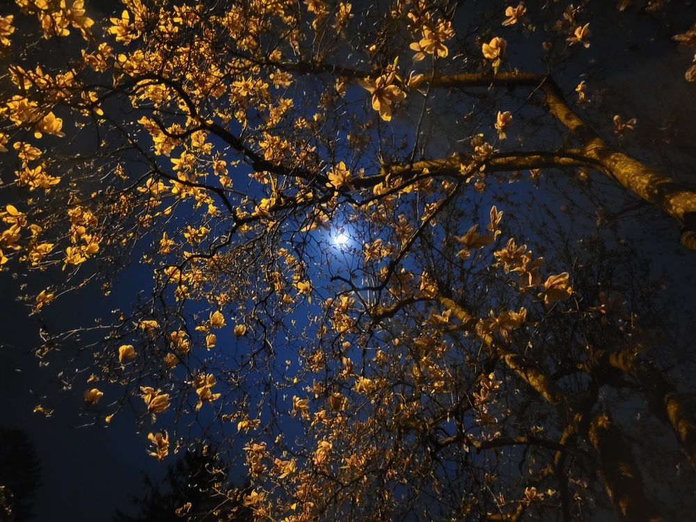 Photograph by Catherine