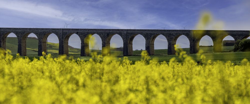 Photograph by Luigi Greco