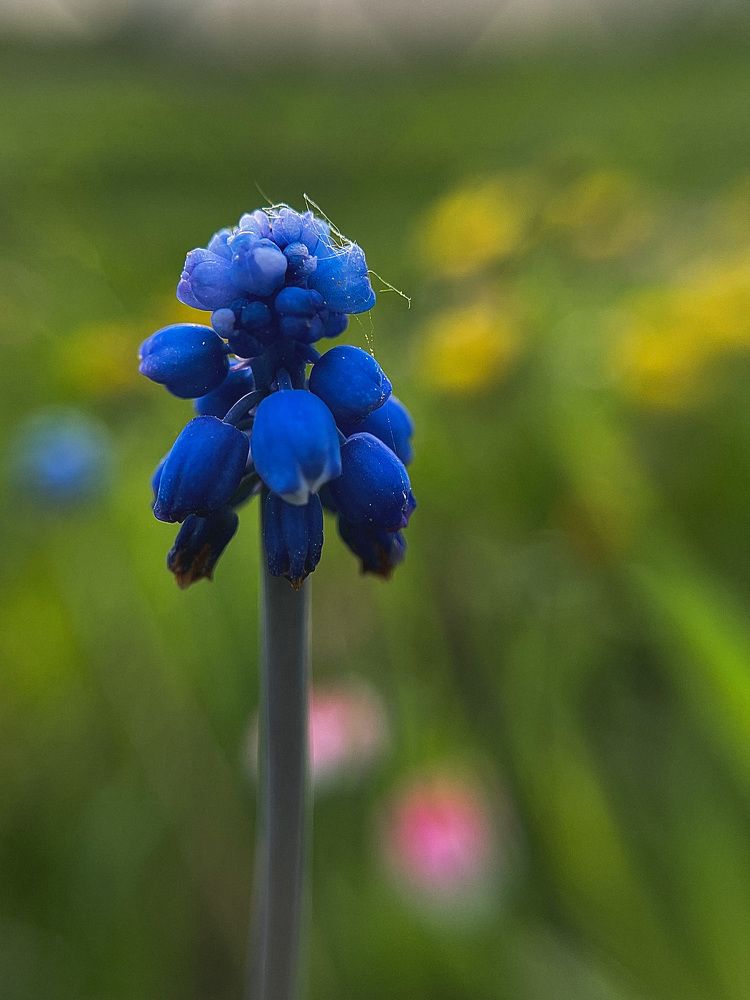 Фотография автора Юлия Косинова