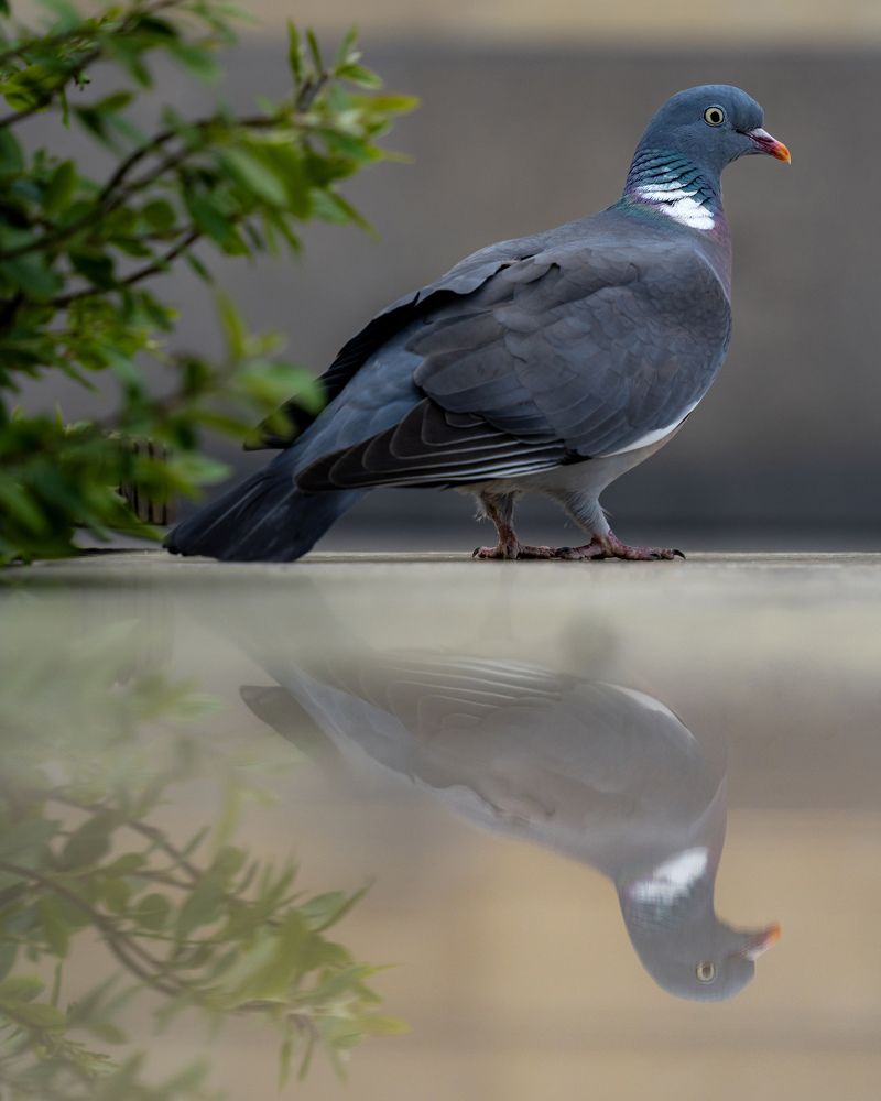 Photograph by Anton Leonchikov