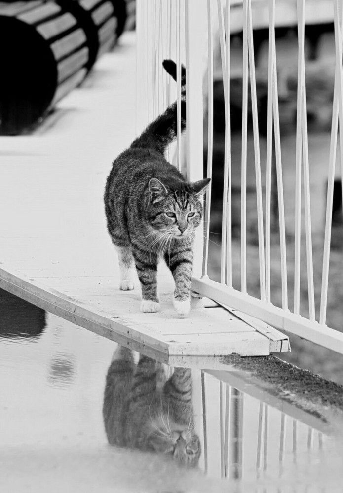 Photograph by 