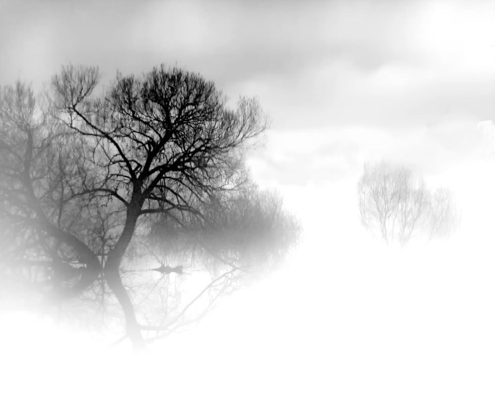 Photograph by Александр Поздняков