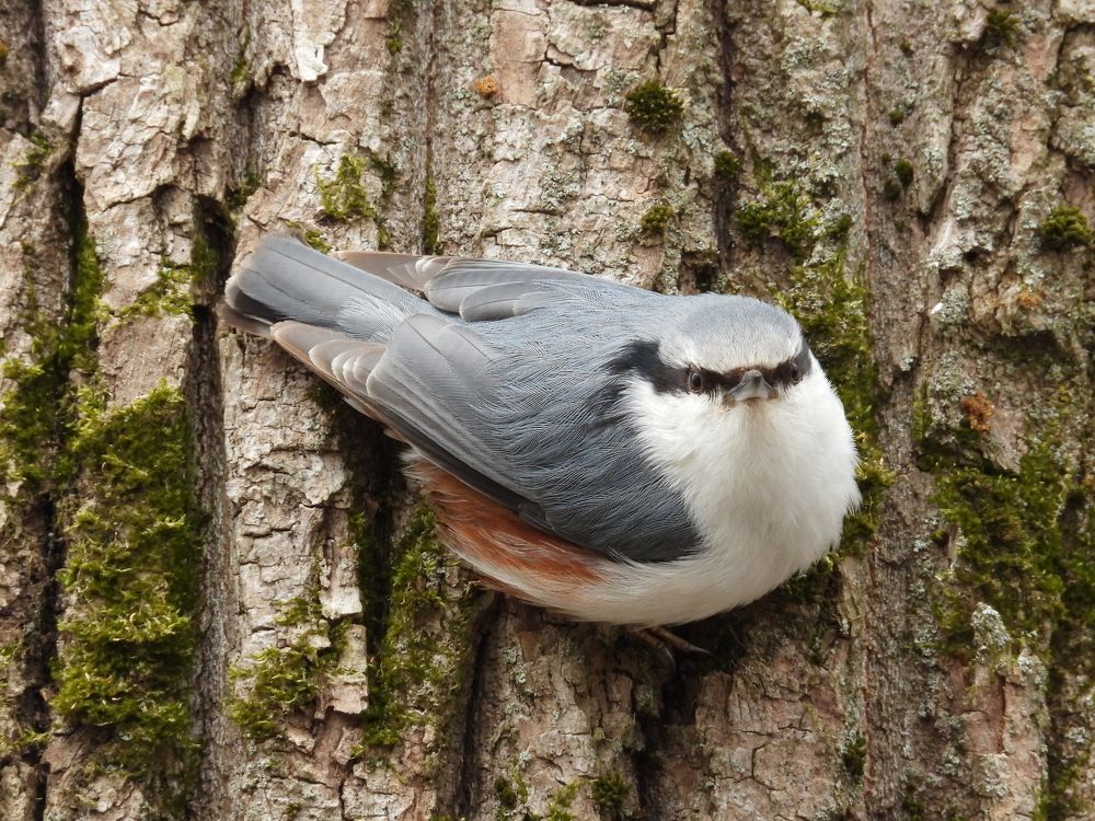 Photograph by Владимир Джерихов