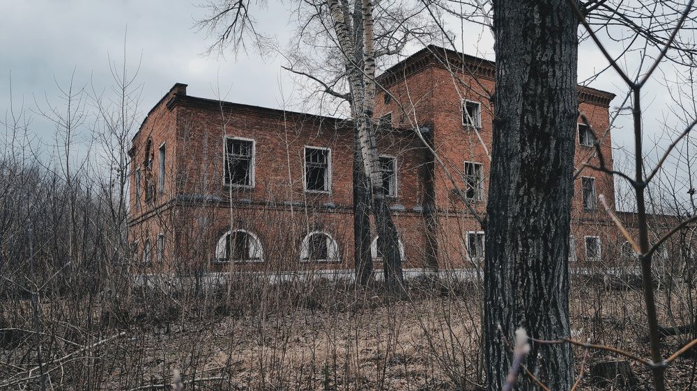 Photograph by Евгения Гриднева