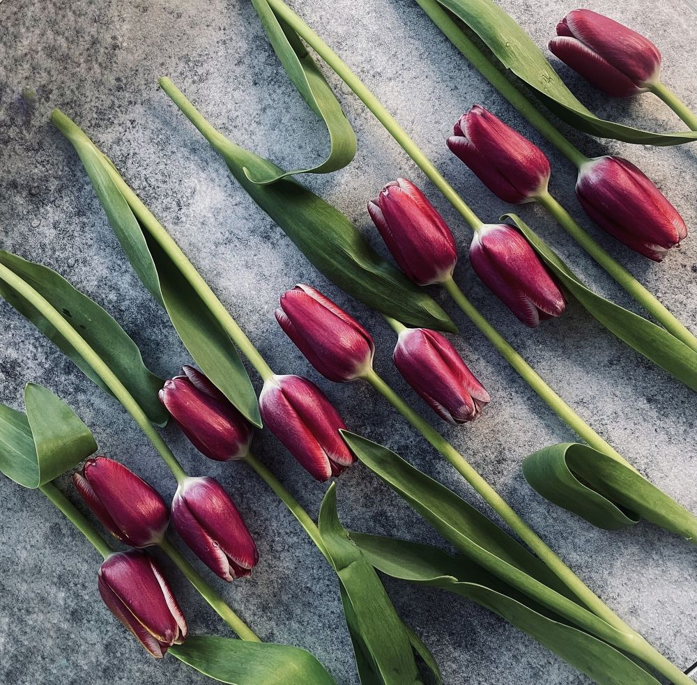 Фотография автора Рамзия Хисамутдинова