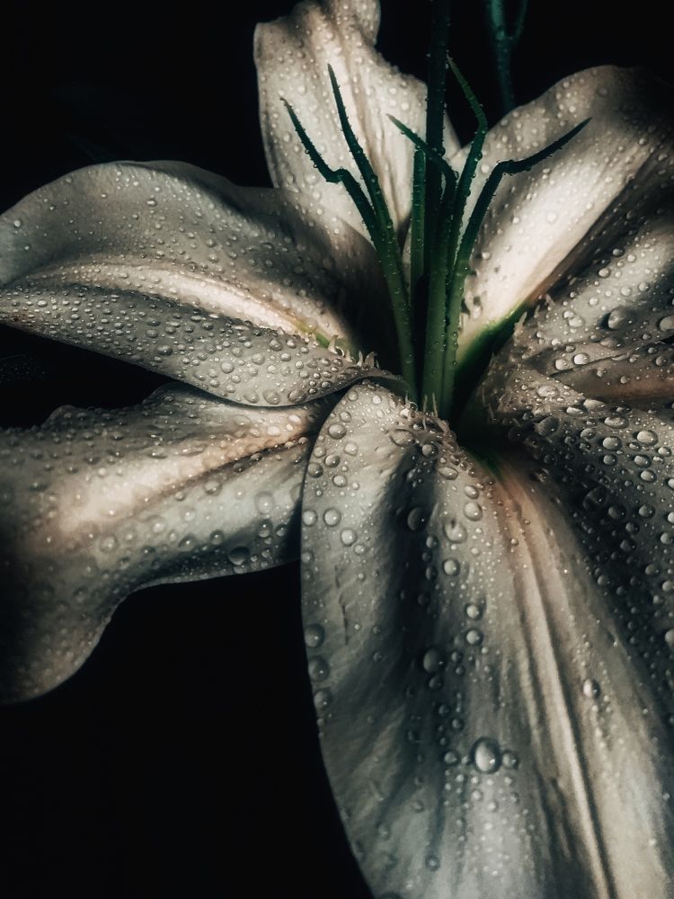 Photograph by Анна Белова