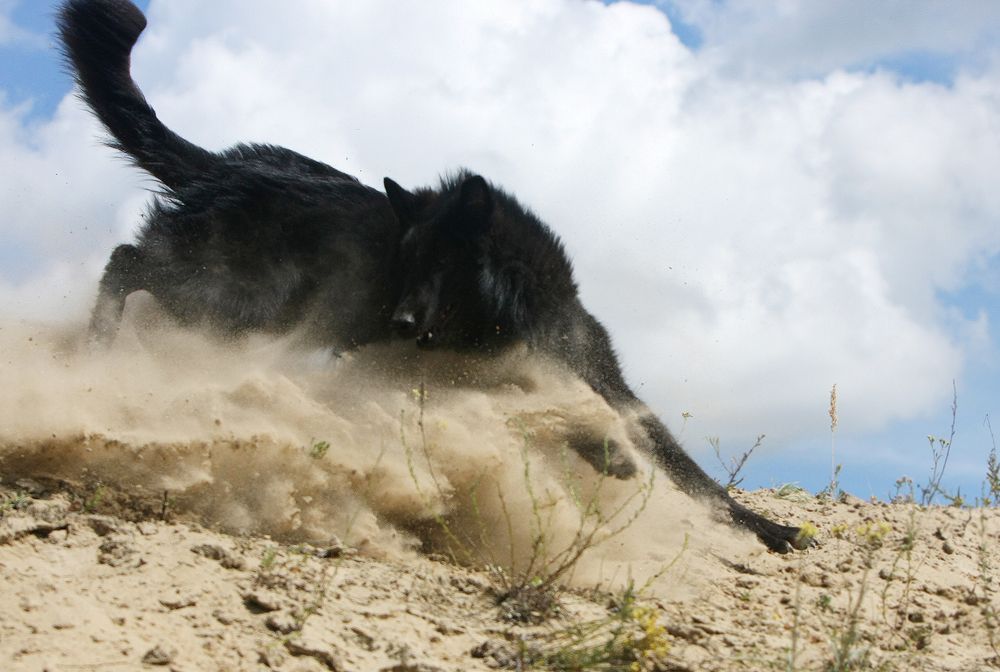 Фотография автора Надежда Лисицына