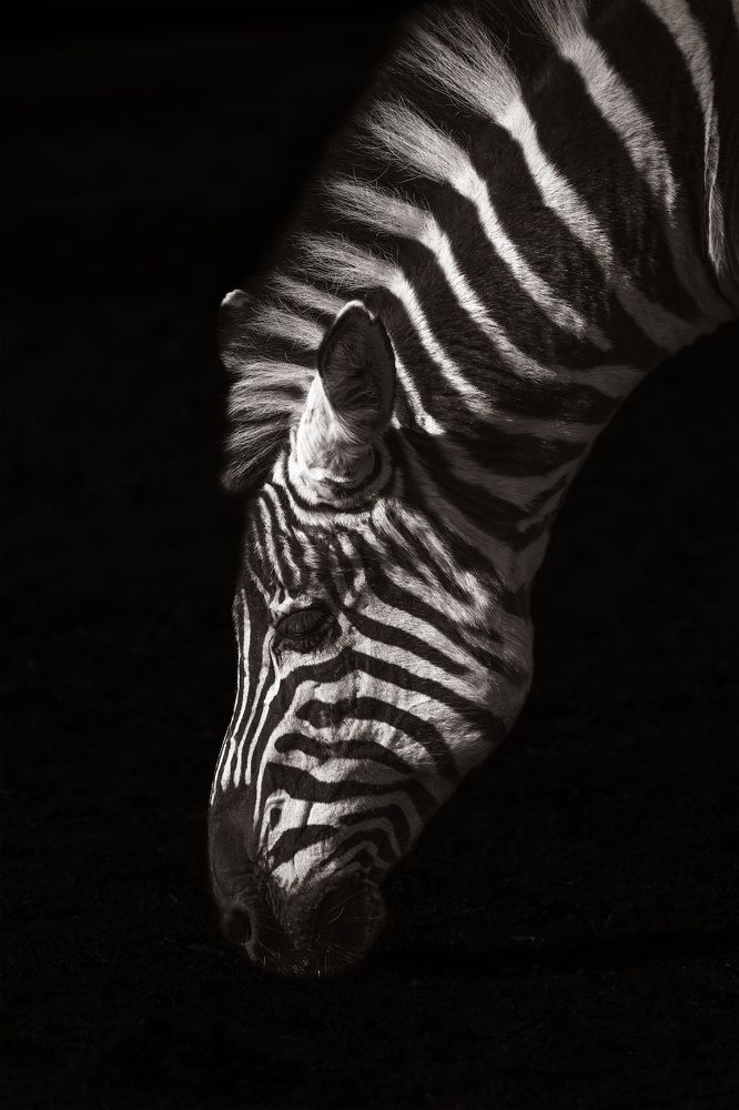 Photograph by Руднев Юрий