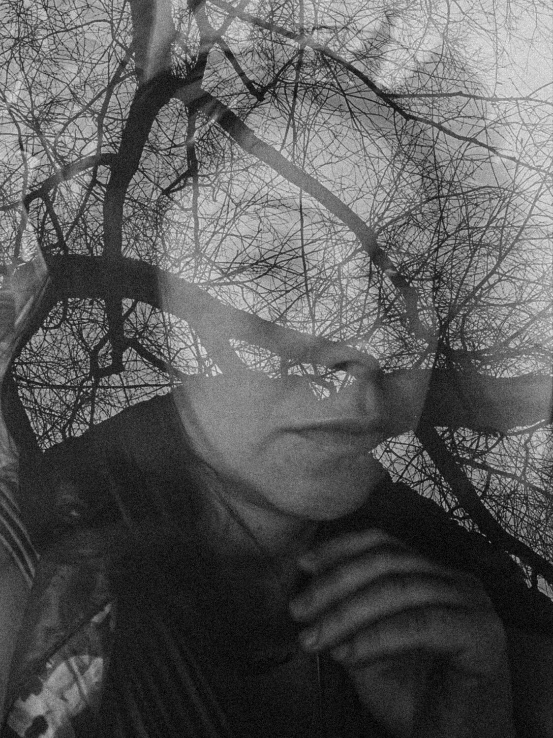 Photo #10551340