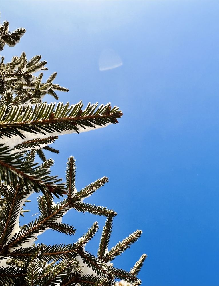 Photograph by ANDREY ZARUBIN