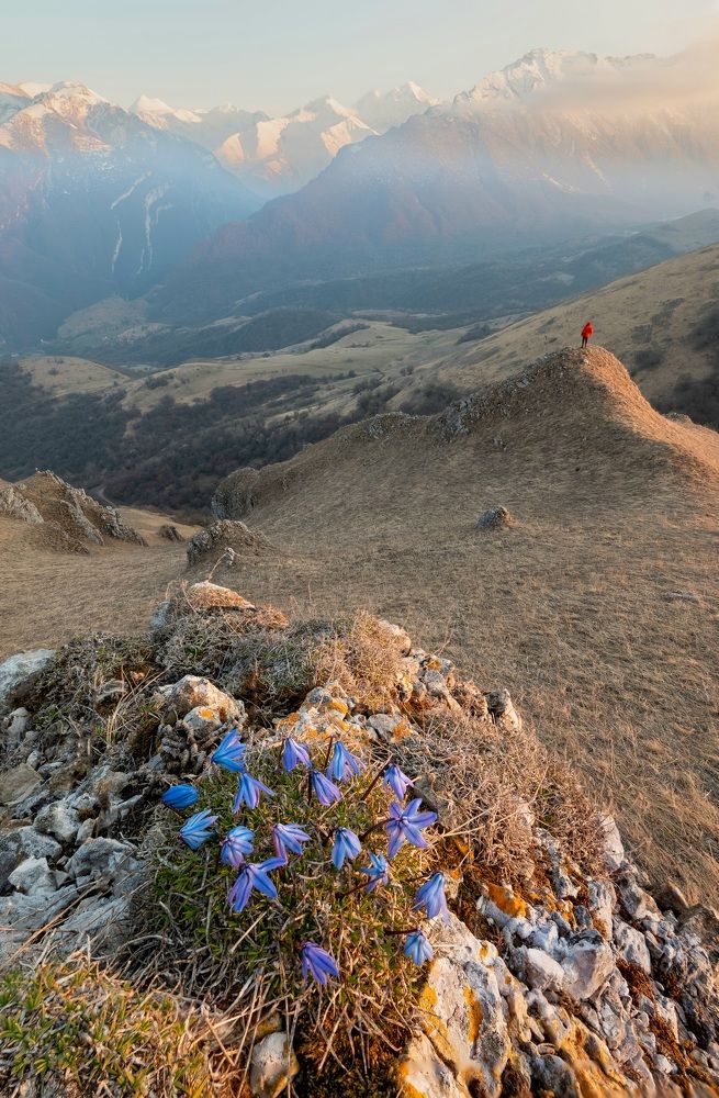 Photograph by Павел Олту