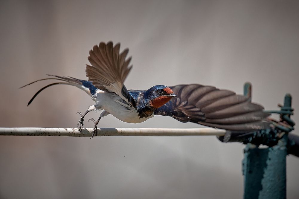 Photograph by Mikhail Khmelevskiy