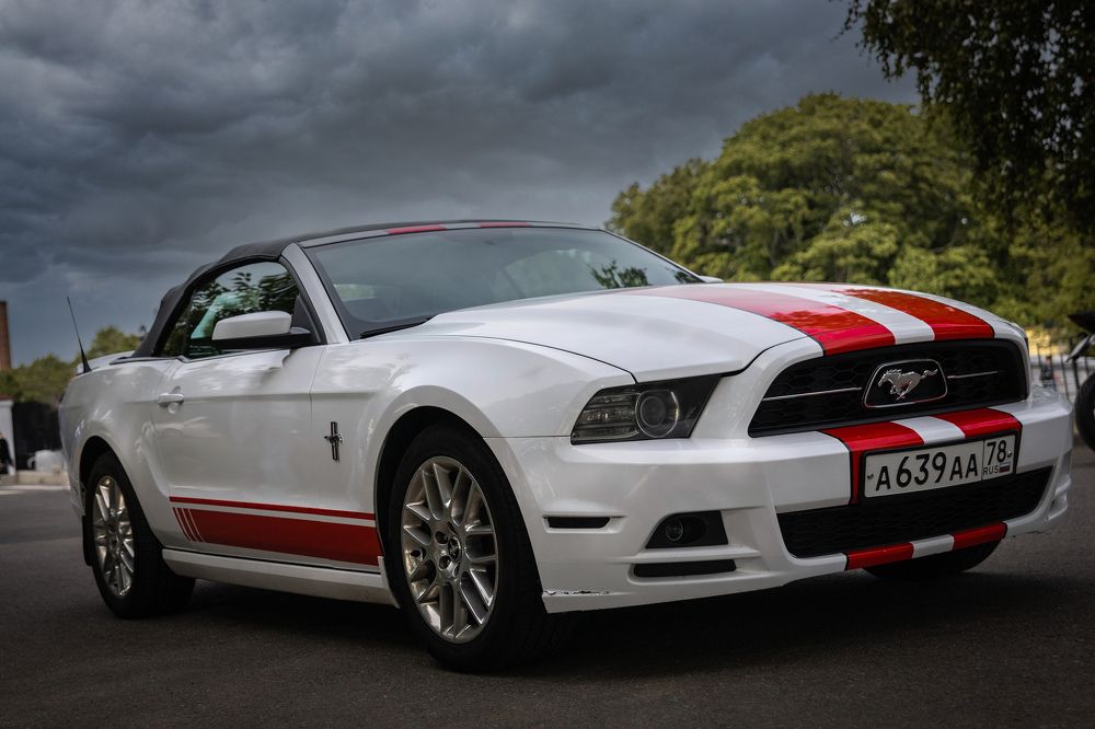 Photograph by Alexandr Timofeev