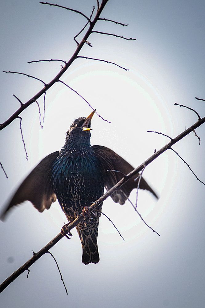 Photograph by Анатолий Васильев