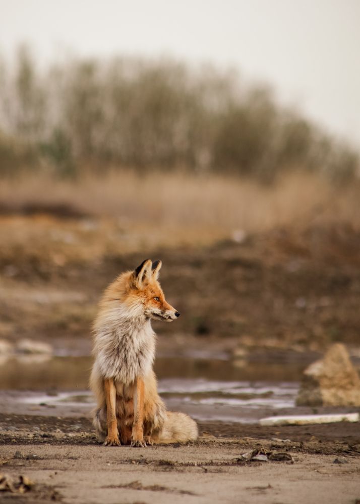 Photograph by Анна Зенкина