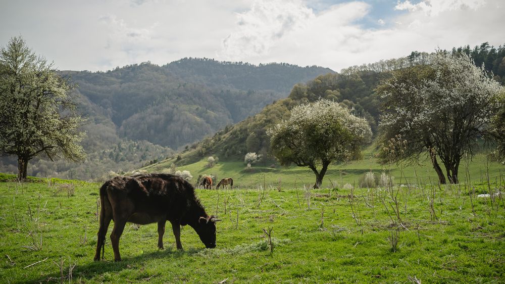 Photograph by Ирина Кравченко