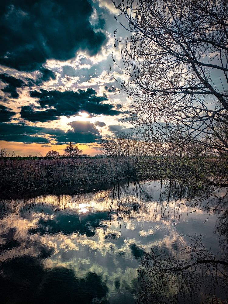 Photograph by Алина Барышева