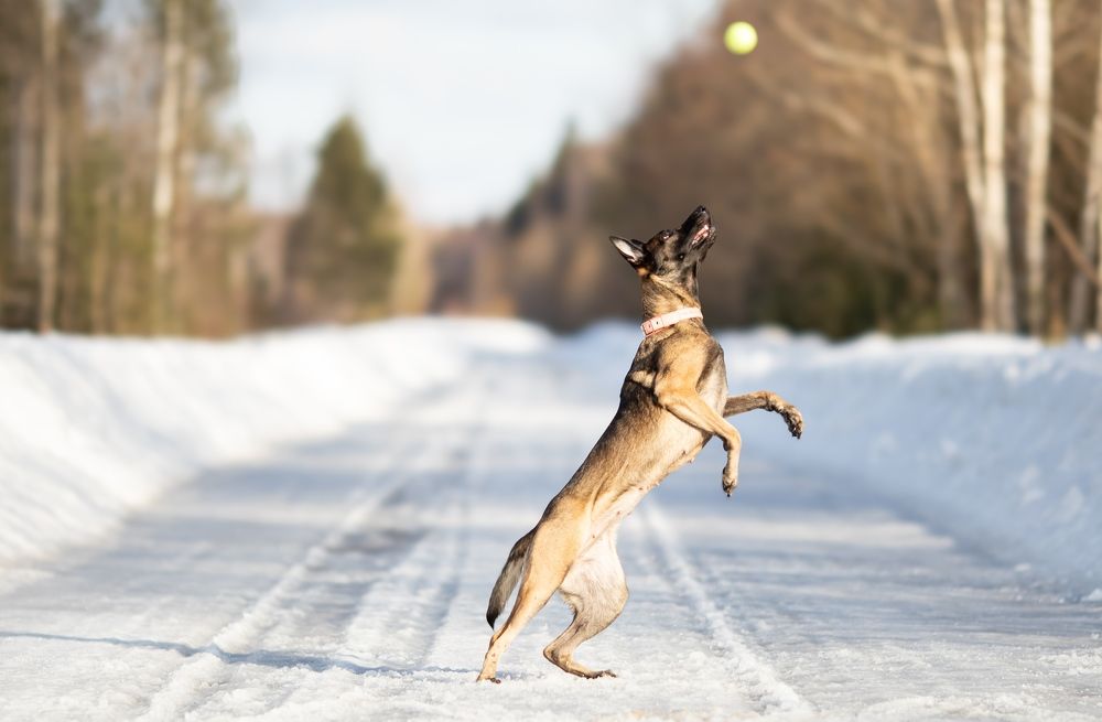 Photograph by Дарья