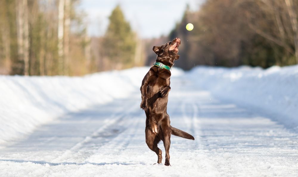 Photograph by Дарья