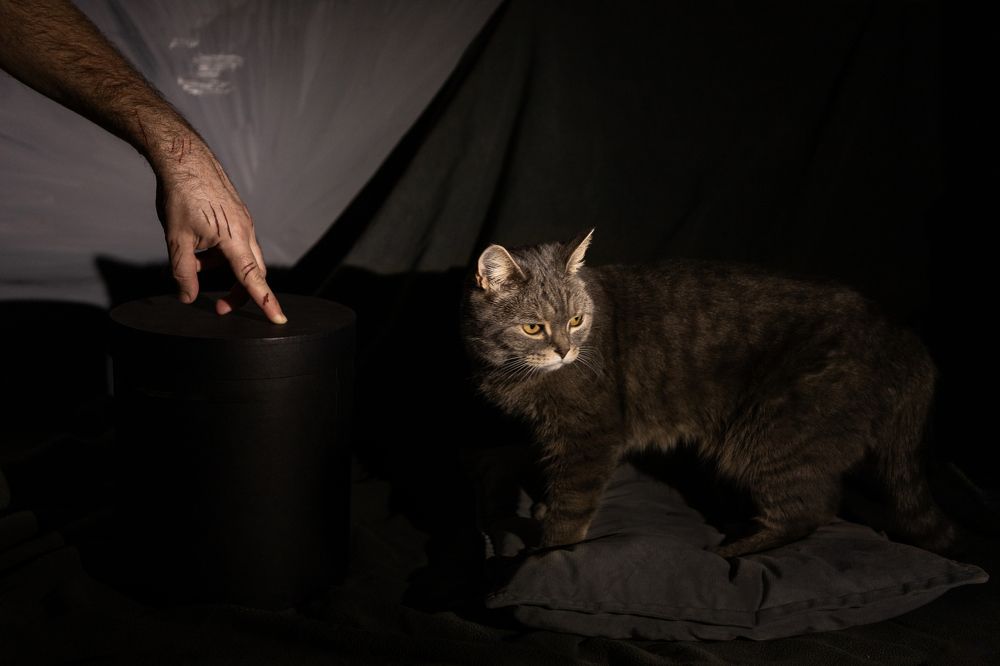 Photograph by Наталья Житинева