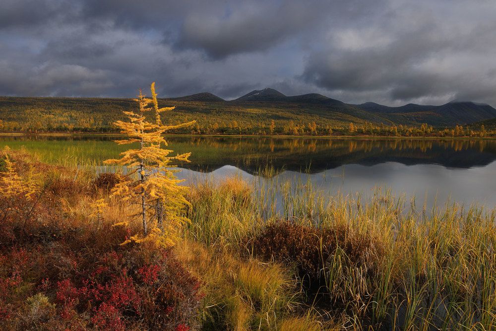 Photograph by Морозов Сергей