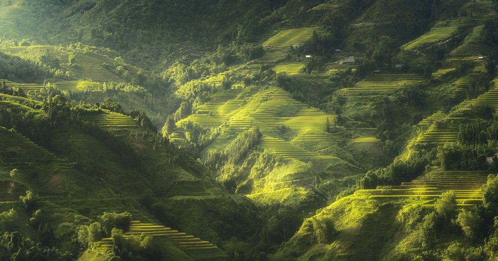 Photograph by Le Hoang Vu