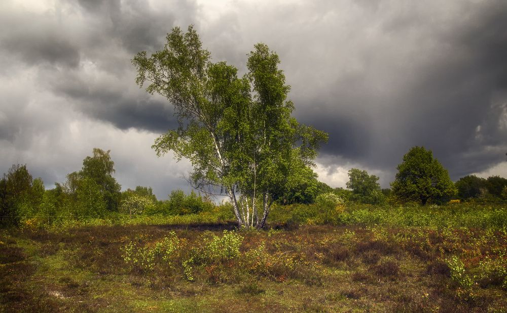 Фотография автора Александр