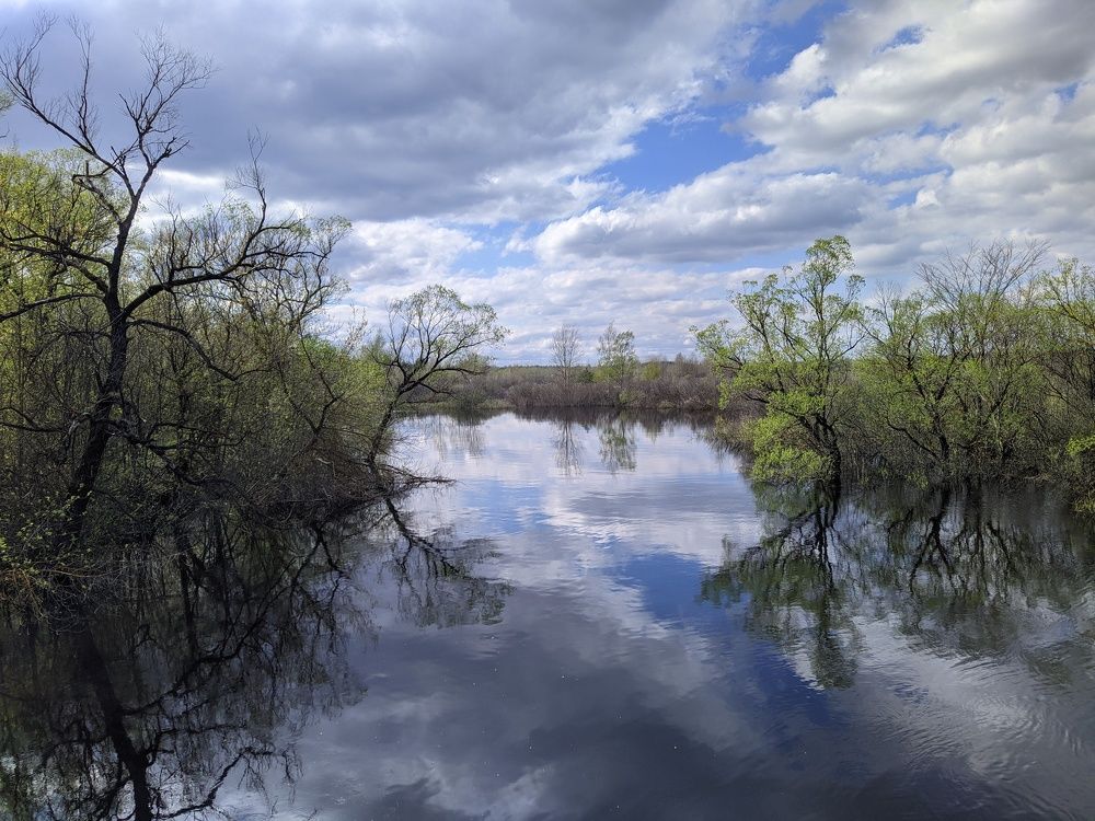 Фотография автора IRINA FILIPPOVA