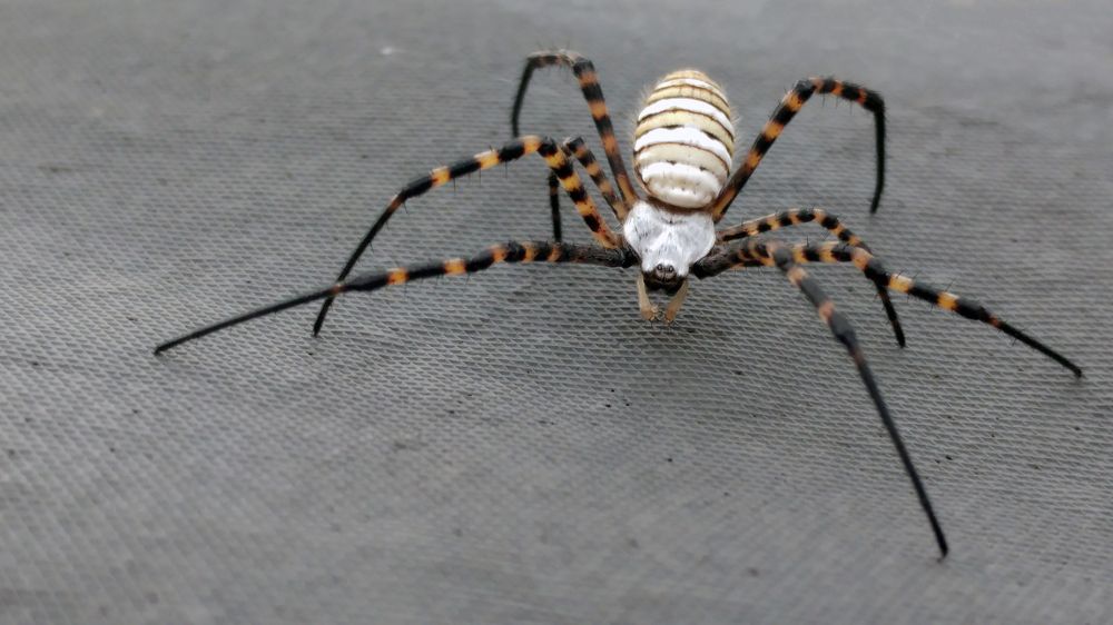 Photograph by Антон Шаркас