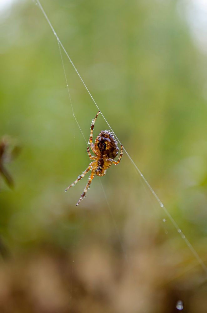 Photograph by Любовь Бусова