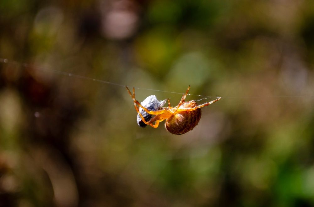 Photograph by Любовь Бусова