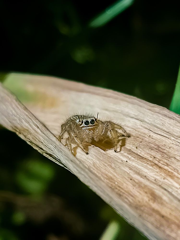 Photograph by Sara Bounab
