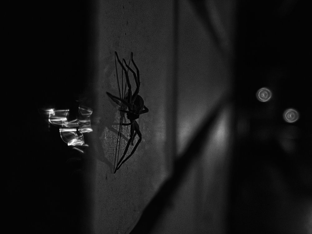 Photograph by Askar Kashapov