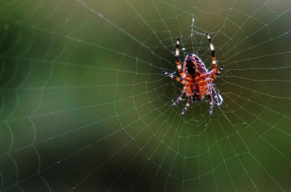 Photograph by Светлана Иванова