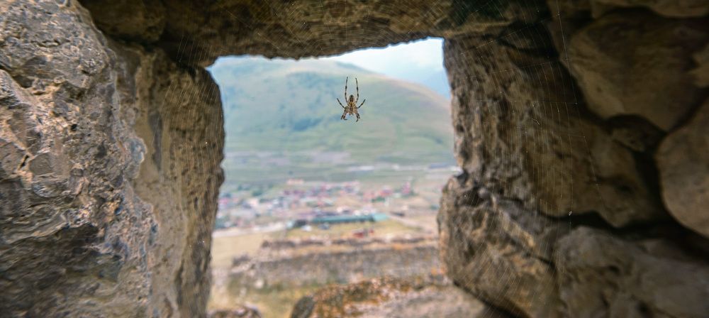 Photograph by Светлана Иванова