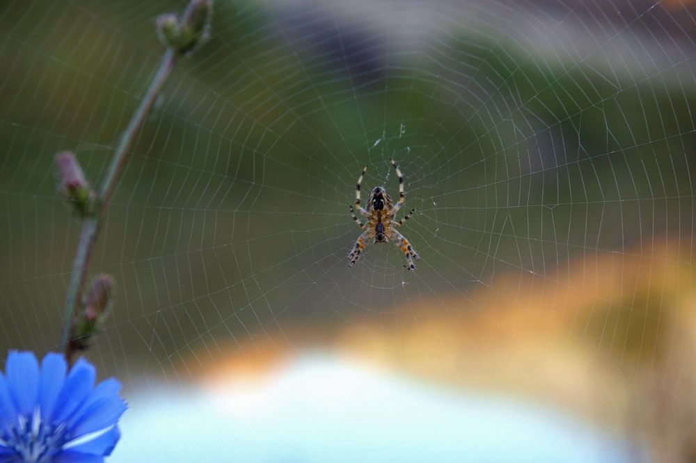 Photograph by Светлана Иванова