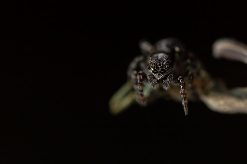 Photograph by Артём Малышев