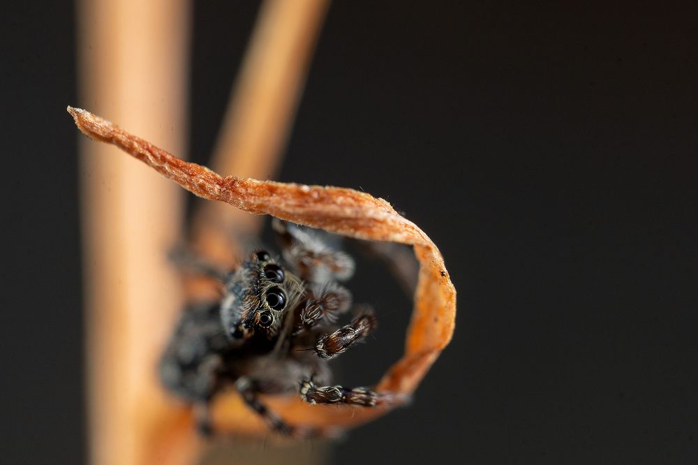 Photograph by Артём Малышев