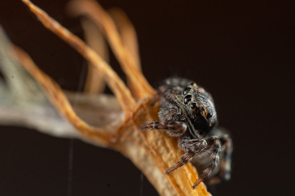 Photograph by Артём Малышев