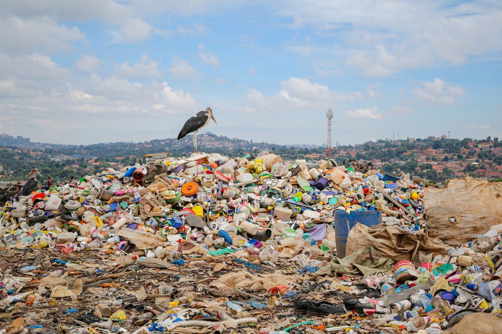 Photograph by anthony etyang