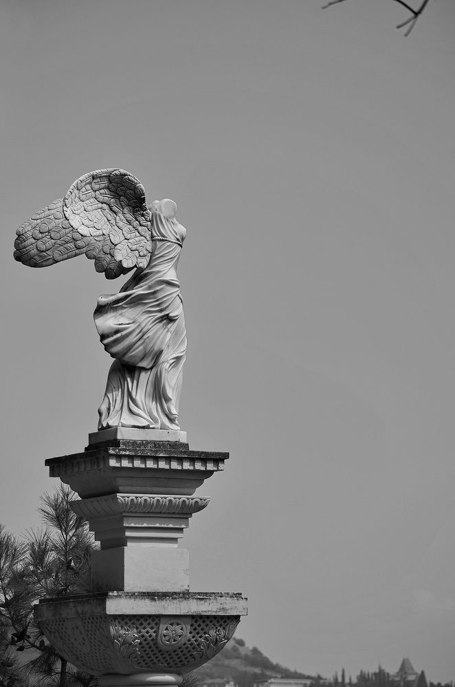 Photograph by Светлана Дисяк